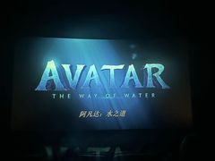 -寰映影城(摩天活力城IMAX店)