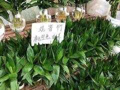 -无锡文化工艺品市场(槐古路店)