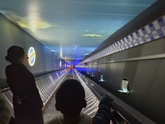 -白鹤梁水下博物馆
