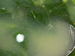 -考记泥焗鸡农庄·海鲜(北洛秘境店)