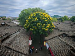 -中天楼