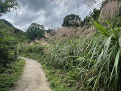 -石台牯牛降景区