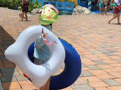 -重庆海昌加勒比海水世界