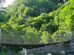 -老秃顶草原景区