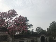 -深水井老冰粉(解放碑英利大融城店)