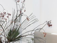 -Fridi Patisserie Cafe