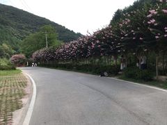 -木兰云雾山