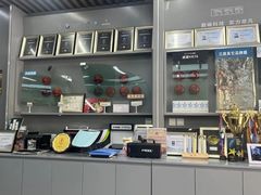 -车艺尚上海龙膜隐形车衣汽车贴膜旗舰店