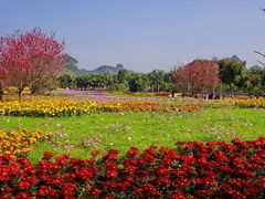 -南宁花花大世界景区
