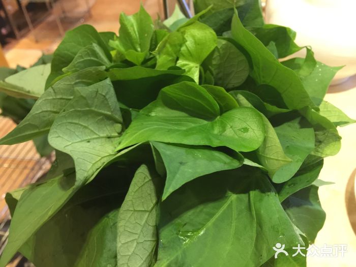 和合四季椰子鸡(华熙live店)白薯叶图片