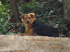 -北京上方山国家森林公园