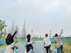 -白鹭湾湿地公园