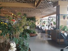 大堂-云里小坐·海泉湾·团建·宴席·下午茶(金堂海泉湾店)