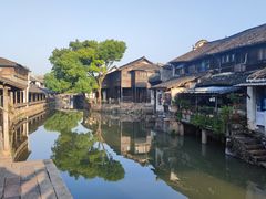 -南花桥羊肉馆老字号(乌镇店)