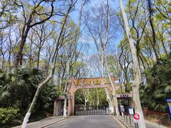 -灵谷景区