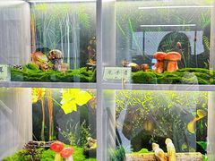 -七采菌园·野生菌石锅鱼(环城北路店)