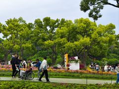 -苏州上方山国家森林公园