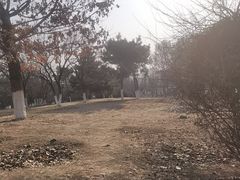 -莫子山公园