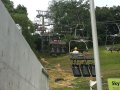 -圣淘沙天际线斜坡滑车