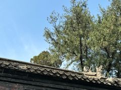 -洛阳白马寺