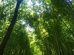 -宝岩生态观光园