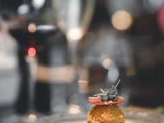 -广州德安丽舍凯宾斯基酒店