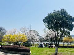 -羊山湖公园