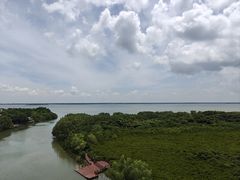 -东寨港红树林旅游区