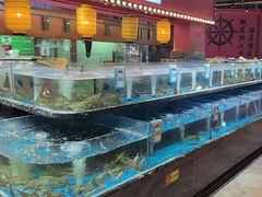 -张家卫·阳江菜·小海鲜(肥婆湾桥店)