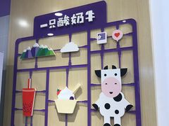 -一只酸奶牛(摩根吾悦广场店)