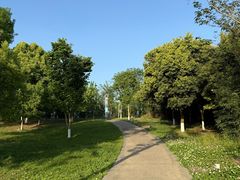 -白鹭湾湿地公园