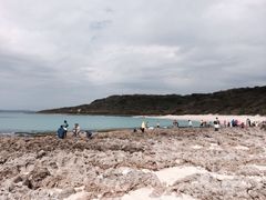 iphone_upload_pic-鹅銮鼻公园