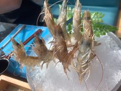 -王家渡火锅店(棕榈泉店)