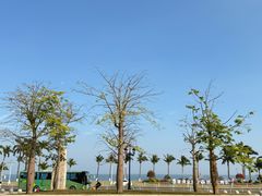 -珠海市博物馆