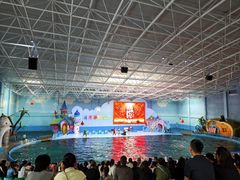 -蓬莱欧乐堡海洋极地世界