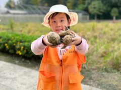 -洪湖家庭农场·团建·露营·会议