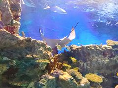 -海合安成都极地海洋公园