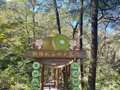 -大岭沟猕猴桃谷风景区