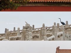 -故宫博物院(故宫)