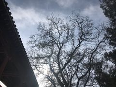 -白塔山公园