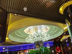 -润园四季椰子鸡火锅(海上世界店)