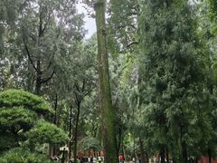 -成都武侯祠博物馆