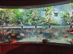 -太平洋海底世界