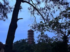 -缙云山景区