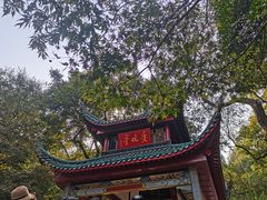 -岳麓山风景名胜区