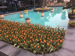 -南通洲际绿博园