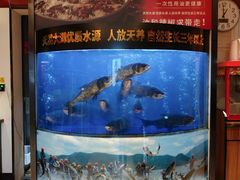-潇湘码头·鲜湘菜(清河店)