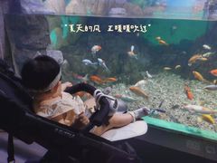 -常州海昌海洋探索馆