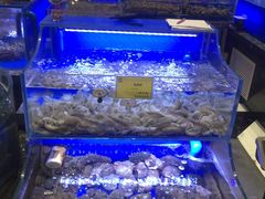-新海渔港·胶东海鲜家常菜·家宴(奥体中心店)