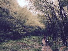 -会稽山峡洞漂流-上青古道